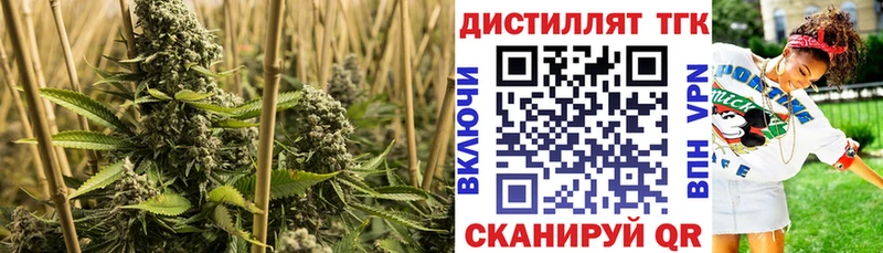 где продают наркотики Лесосибирск МЕГА tor ТГК вейп