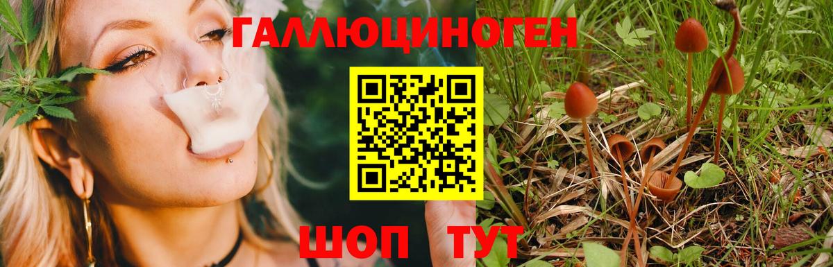 КОКАИН  Лесосибирск  МАРИХУАНА  Меф МЯУ МЯУ кристаллы  Кодеин  Вход с VPN  Гашиш  Метадон 