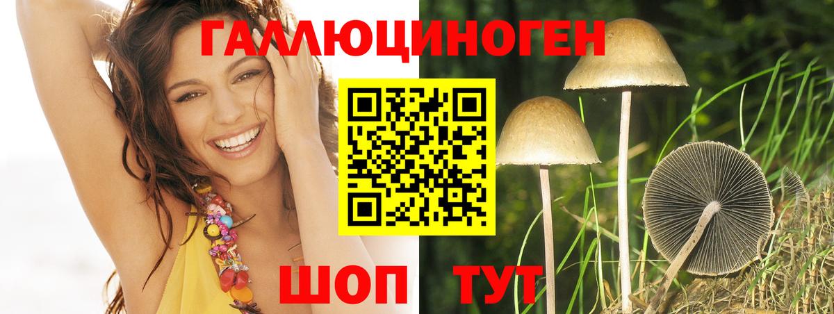 Псилоцибиновые грибы Magic Shrooms Лесосибирск