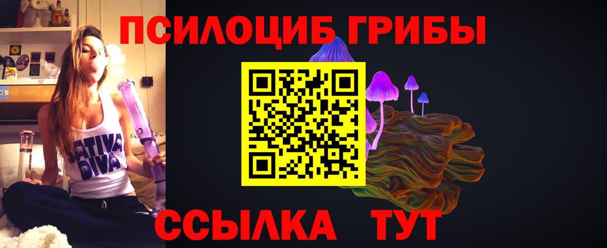 Лесосибирск  Псилоцибиновые грибы Cubensis  Псилоцибиновые грибы MAGIC MUSHROOMS  купить наркоту  Вход с VPN 