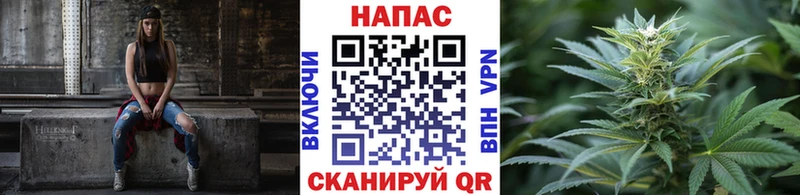 Бошки Шишки гибрид Лесосибирск
